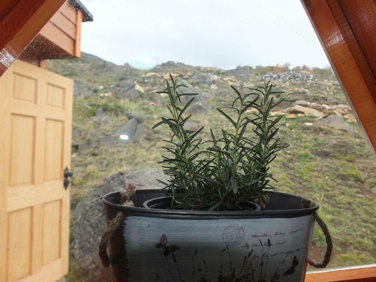 Apartment Domo Carpe Diem Patagonia Coyhaique